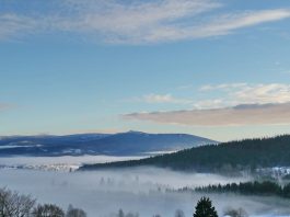 31e4be15-2385-4b2e-b946-9bc8a3ae4187