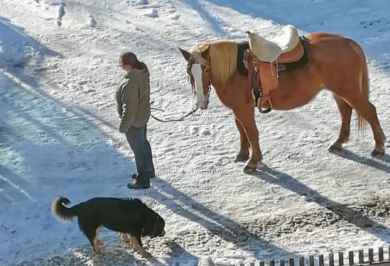 50da7d16-d9ca-4efc-b271-f7b7460143bc