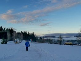 6acb14a5-c84c-44ca-9757-4eb79f1050ca