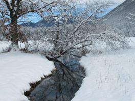 Winterzauber in Schleching