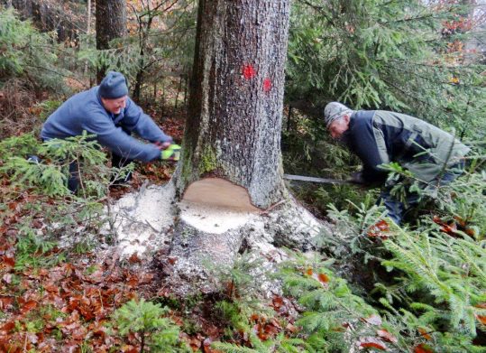 Glas Hundhammer DSC09457