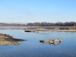 an der Prienmündung