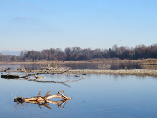 an der Prienmündung