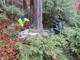 Langl Plank DSC09490