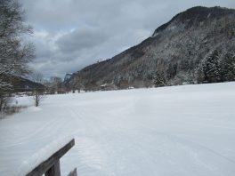 Langlaufen in Sachrang