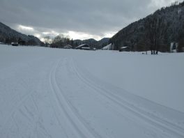 Langlaufen in Sachrang