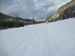 Langlaufen in Sachrang