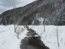 Langlaufen in Sachrang