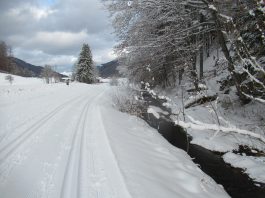 Langlaufen in Sachrang