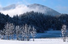 Ruhpolding Loipe (5)