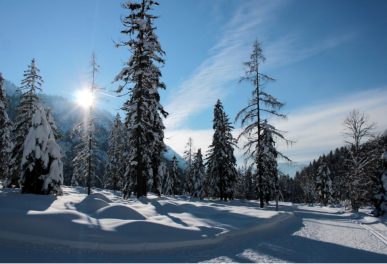 Ruhpolding Loipe (8)