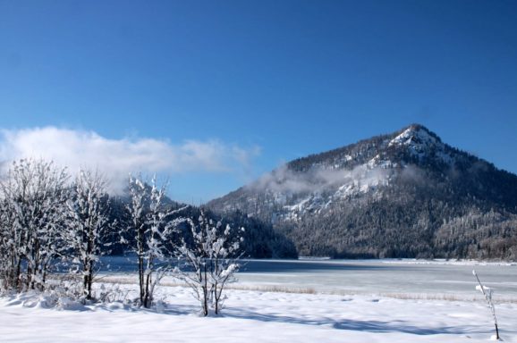 Ruhpolding loipe (1)