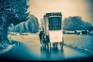 b1310654-2c7d-4ed8-9a79-0e02465e91af