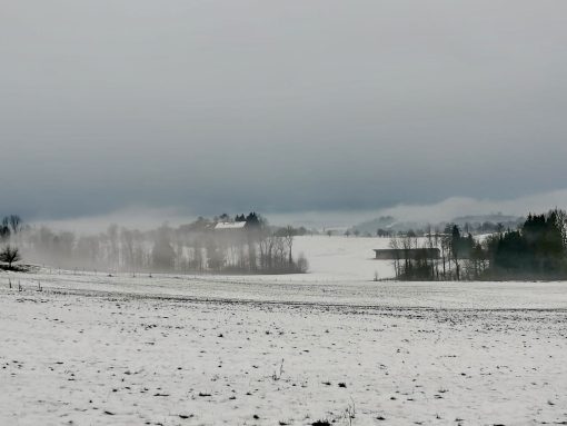 e3fb1b04-3ace-41a9-a6af-69550a4cf145