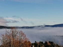 efbb5690-ffd6-46b0-ac4c-1eeea81152a6