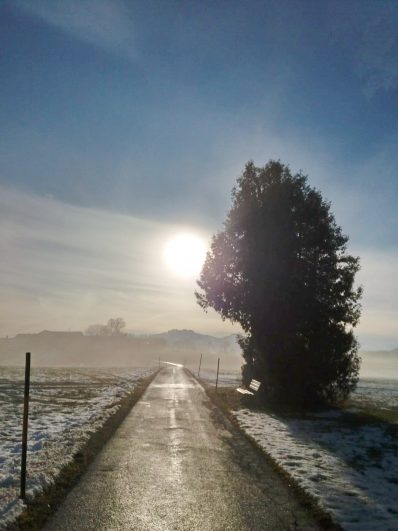 fc2b8d2d-94d6-4543-9ea1-b422bca14923