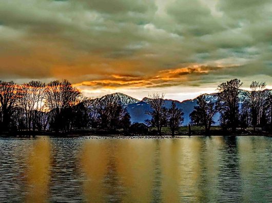 kl-IMG_20211225_080659~2