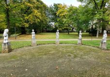 20211017_150850 m HelAmb