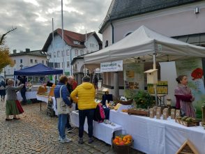 20211023_095250_resized