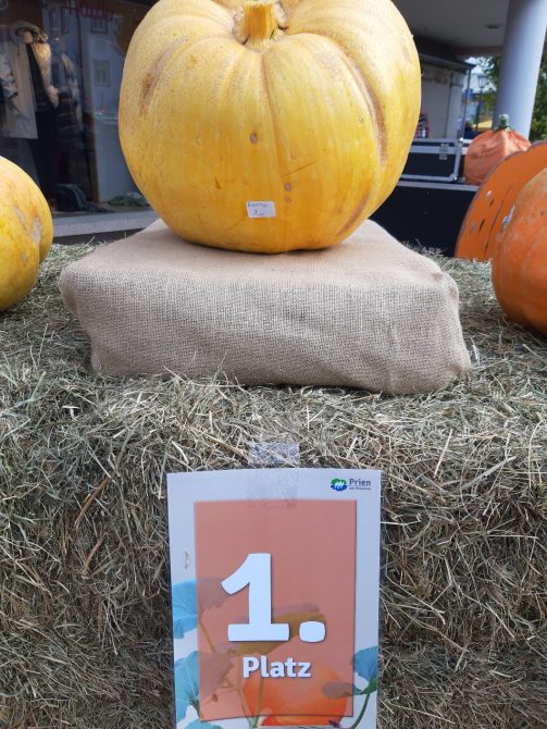 20211023_100128_resized