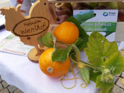 20211023_100501_resized