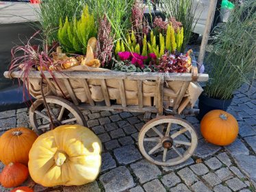 20211023_142619_resized