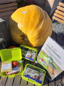 20211023_160352_resized