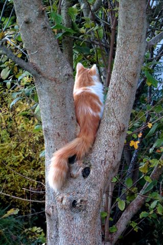 20211031083656_IMG_4271