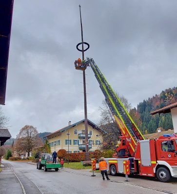 20211102_083349_resized