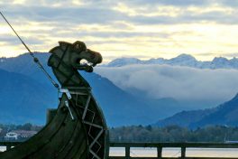 20211105080009_IMG_4440