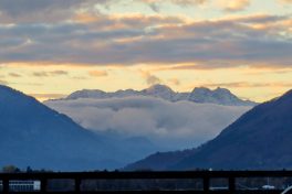 20211105081621_IMG_4445