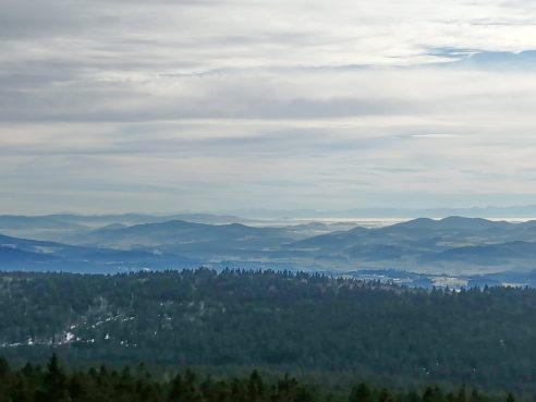 19461035-c314-4a69-9066-be3b359d7ff5