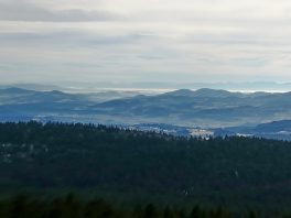 1d1985d6-982a-49f3-94e8-60a7f935e04d