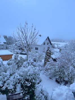 1eaf704c-083a-4acd-888c-ff40d827a68d