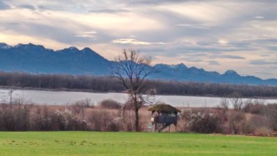 28288c07-3d03-40dd-b7b1-06c08dbb5015