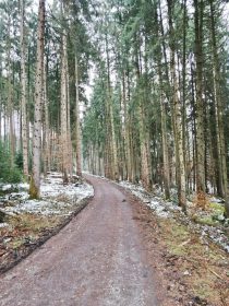 3582db14-6bb8-4d63-8a7d-a2205a28a827