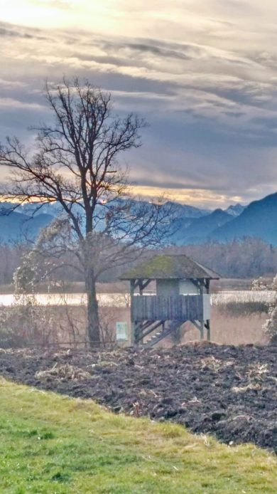 4a5f421a-a000-426b-a388-5fca5523b16e