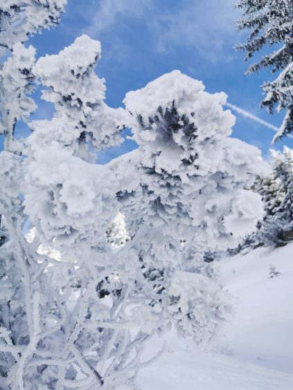 7510f5d5-cc1f-4bd2-ab11-f9dadef33d5d