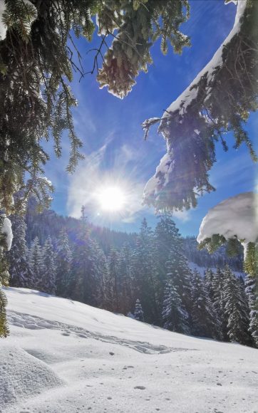 9b7c9ad7-3855-4244-bba6-b92edebba43a