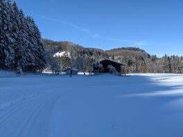 auf der Loipe Hintergschwendt