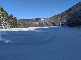 auf der Loipe Hintergschwendt