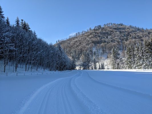 auf der Loipe Hintergschwendt