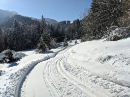 auf der Loipe Hintergschwendt