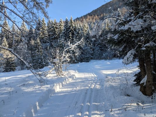 auf der Loipe Hintergschwendt