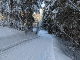 auf der Loipe Hintergschwendt
