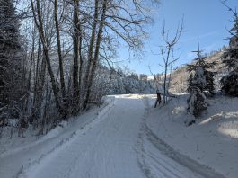 auf der Loipe Hintergschwendt