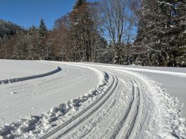 auf der Loipe Hintergschwendt