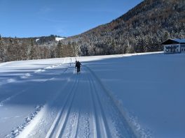 auf der Loipe Hintergschwendt