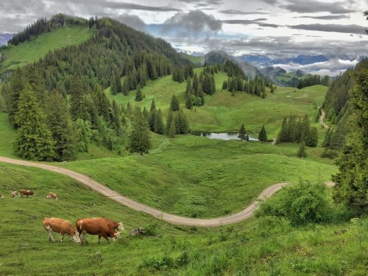 Geigelstein_Foto H Reiter (1)