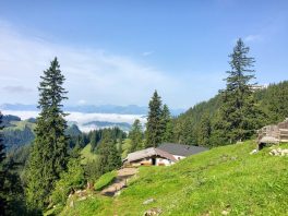 Geigelstein_Foto H Reiter (2)